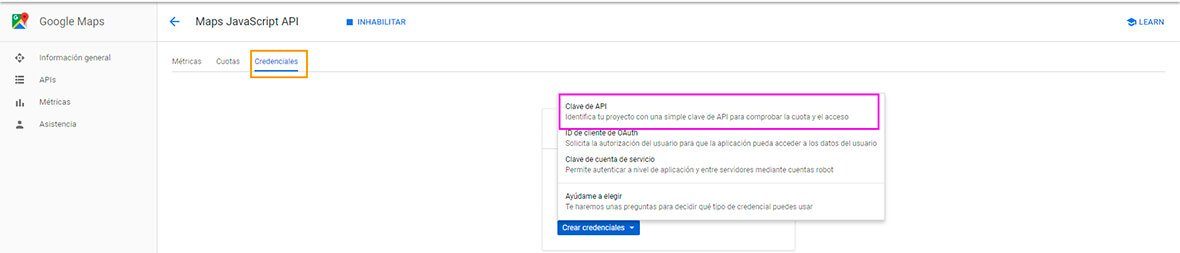 api key google maps